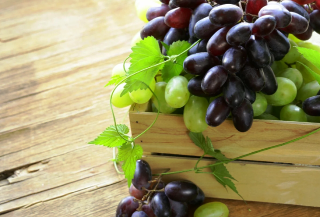 Самые урожайные сорта винограда в украине