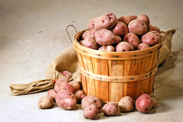 Какие посадочные дни для картофеля в мае 2020 года самые благоприятные