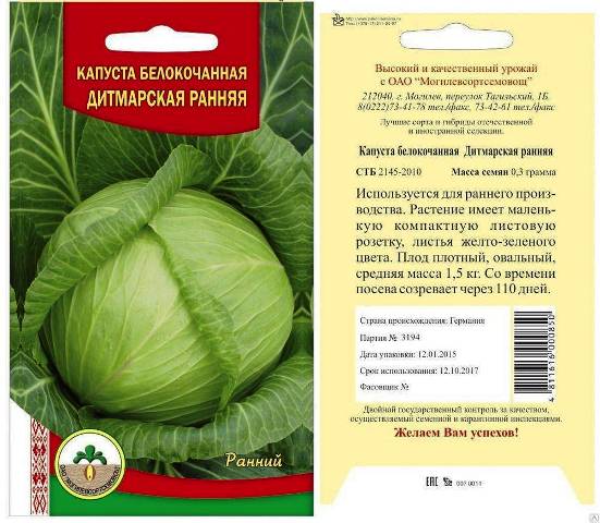 Лучшие сорта капусты для средней полосы России