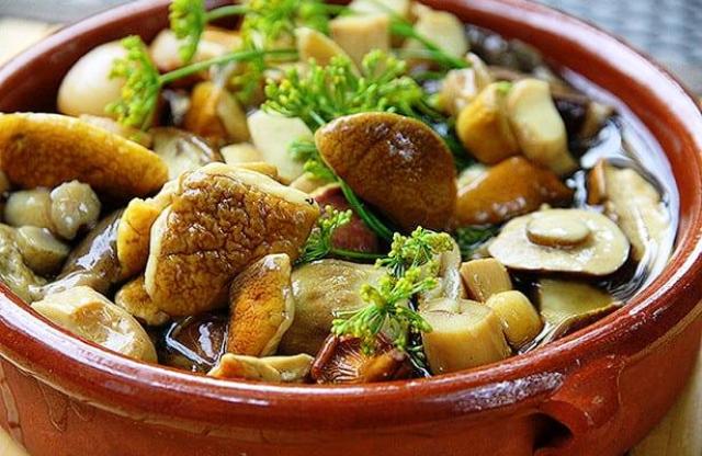 Польские грибы на зиму: простые и вкусные рецепты, как готовить
