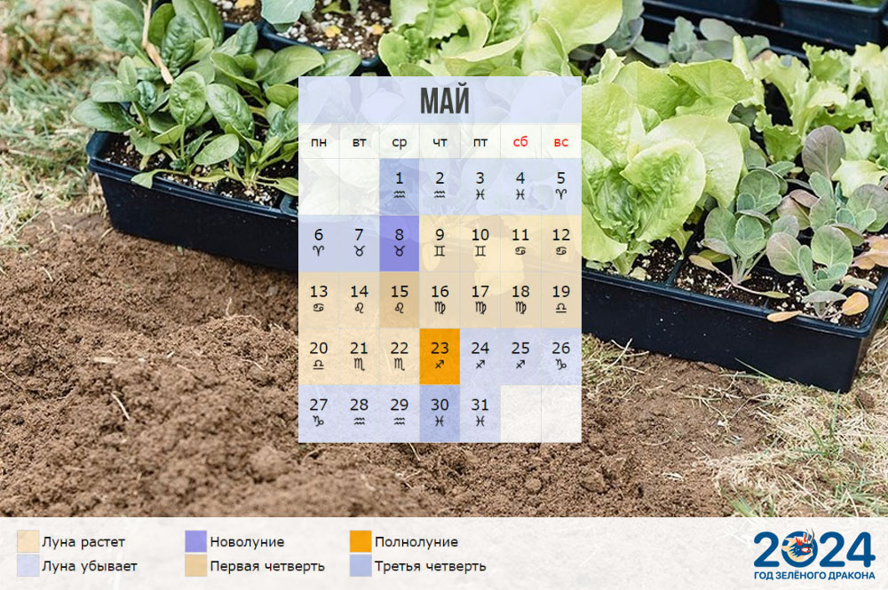 Лунный календарь огородника для Сибири на май 2024 года