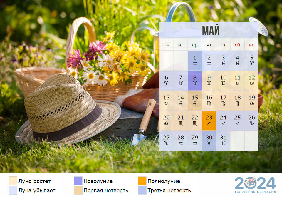 Лунный календарь огородника на май 2024 года