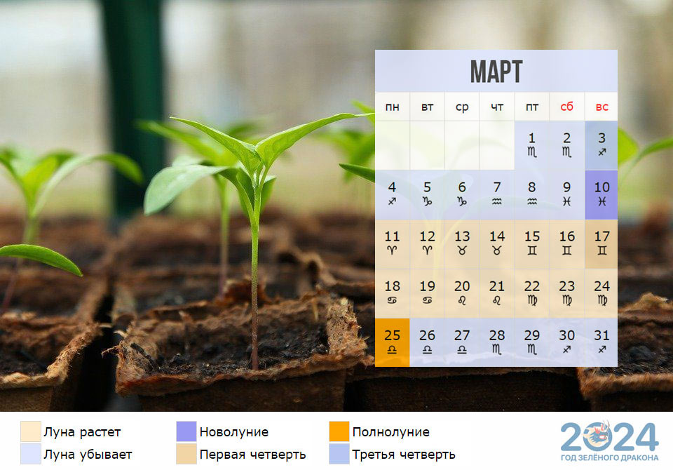 Лунный календарь огородника на март 2024 года